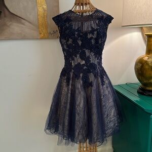 Basix black label blue with sequins dress